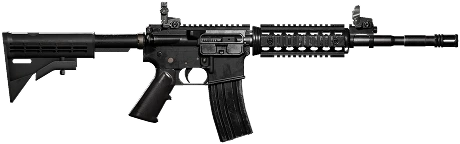 M4 Carbine WARDOGS